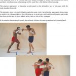 Book Muay Thai