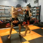 Muay thai shorts