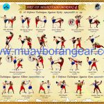 Poster Muay Thai